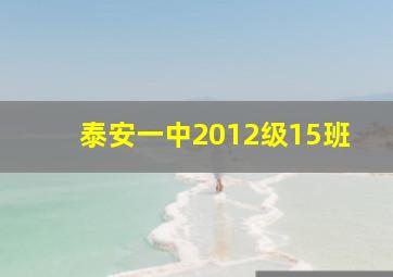 泰安一中2012级15班