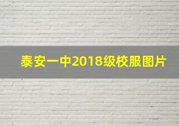 泰安一中2018级校服图片