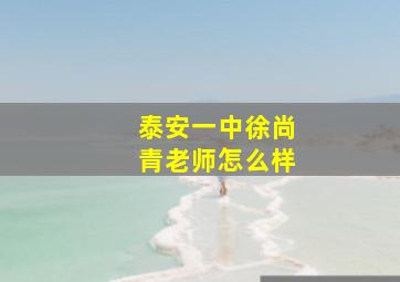 泰安一中徐尚青老师怎么样