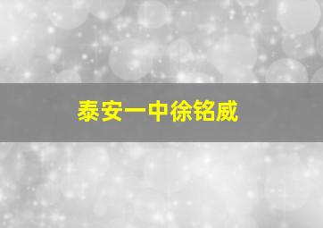 泰安一中徐铭威