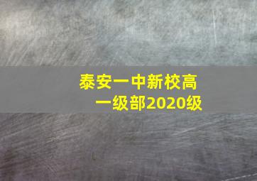 泰安一中新校高一级部2020级