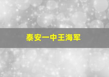 泰安一中王海军