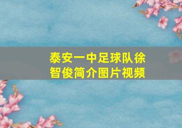 泰安一中足球队徐智俊简介图片视频