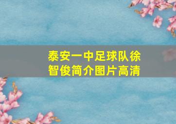 泰安一中足球队徐智俊简介图片高清