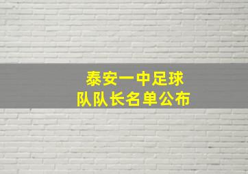 泰安一中足球队队长名单公布