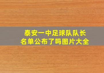 泰安一中足球队队长名单公布了吗图片大全