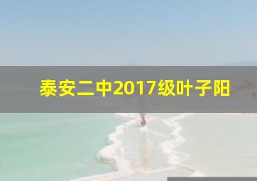 泰安二中2017级叶子阳