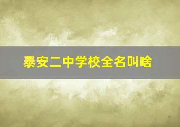 泰安二中学校全名叫啥