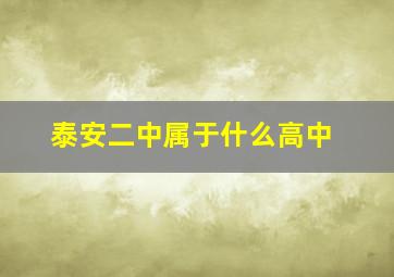 泰安二中属于什么高中