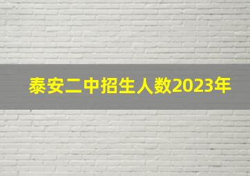 泰安二中招生人数2023年