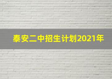 泰安二中招生计划2021年