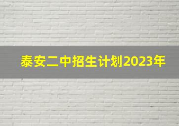 泰安二中招生计划2023年