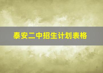 泰安二中招生计划表格