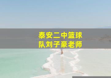 泰安二中篮球队刘子豪老师