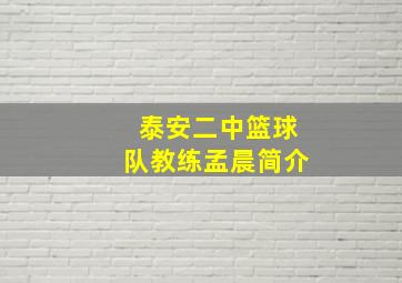 泰安二中篮球队教练孟晨简介