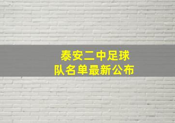 泰安二中足球队名单最新公布