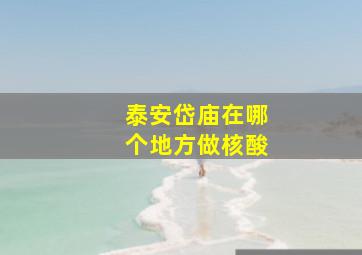 泰安岱庙在哪个地方做核酸