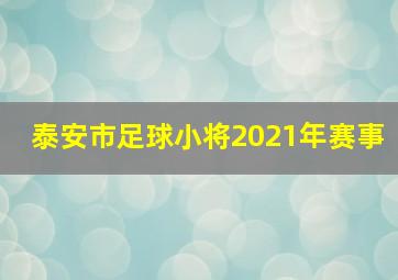 泰安市足球小将2021年赛事