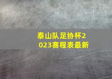 泰山队足协杯2023赛程表最新