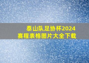 泰山队足协杯2024赛程表格图片大全下载