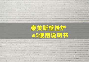 泰美斯壁挂炉a5使用说明书