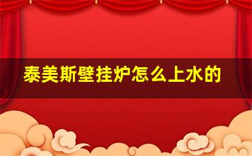 泰美斯壁挂炉怎么上水的