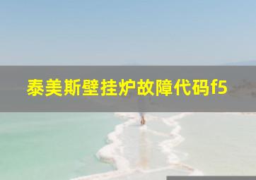 泰美斯壁挂炉故障代码f5