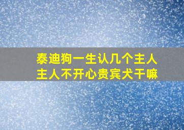 泰迪狗一生认几个主人主人不开心贵宾犬干嘛