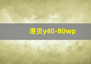 洛贝y40-80wp