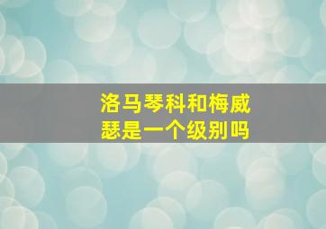 洛马琴科和梅威瑟是一个级别吗