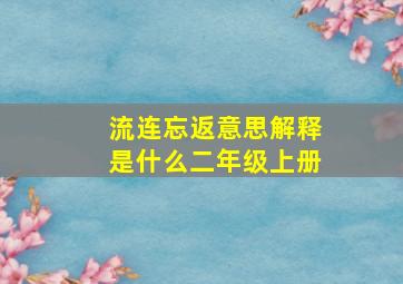 流连忘返意思解释是什么二年级上册