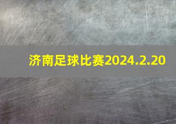 济南足球比赛2024.2.20