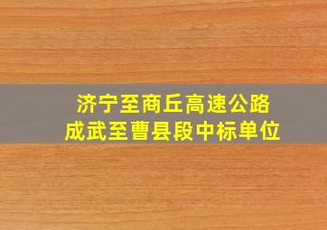 济宁至商丘高速公路成武至曹县段中标单位