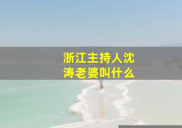 浙江主持人沈涛老婆叫什么