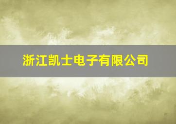 浙江凯士电子有限公司