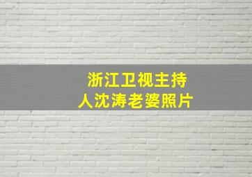 浙江卫视主持人沈涛老婆照片