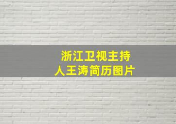 浙江卫视主持人王涛简历图片