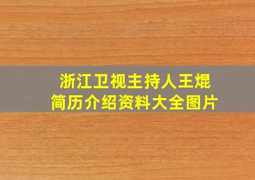 浙江卫视主持人王焜简历介绍资料大全图片