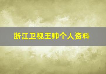 浙江卫视王帅个人资料