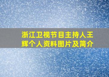 浙江卫视节目主持人王辉个人资料图片及简介