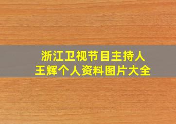 浙江卫视节目主持人王辉个人资料图片大全