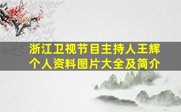 浙江卫视节目主持人王辉个人资料图片大全及简介