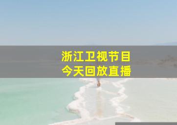 浙江卫视节目今天回放直播