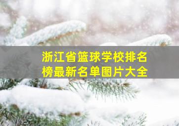 浙江省篮球学校排名榜最新名单图片大全