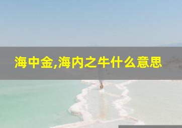 海中金,海内之牛什么意思