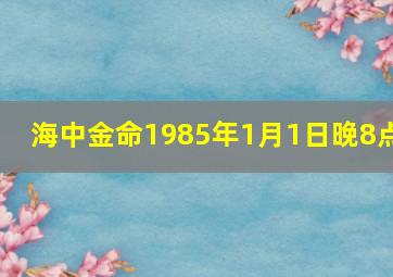 海中金命1985年1月1日晚8点