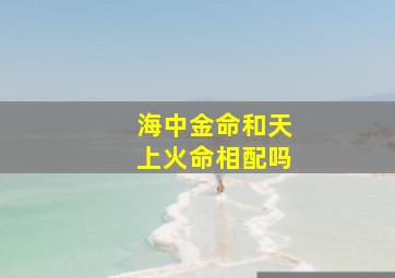 海中金命和天上火命相配吗