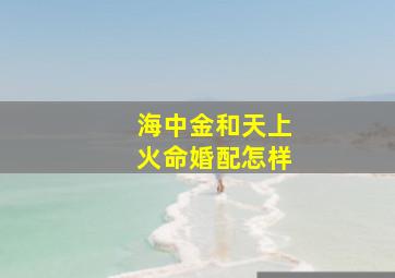 海中金和天上火命婚配怎样