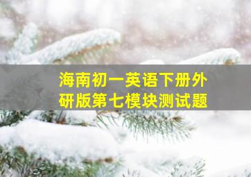 海南初一英语下册外研版第七模块测试题