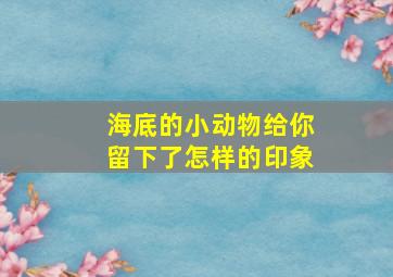 海底的小动物给你留下了怎样的印象